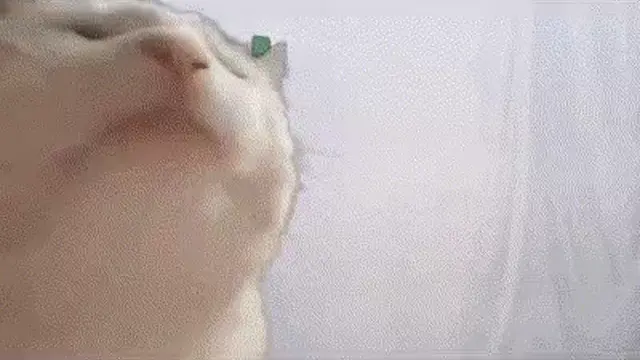 Vibing Cat (Cat Jam)