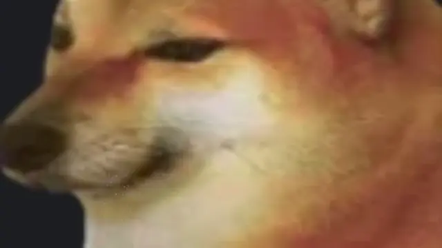 Cheems Golden Vibe