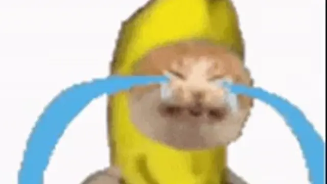 Crying Banana Cat