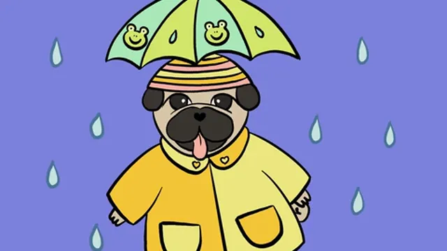 Pepe Staring in the Rain