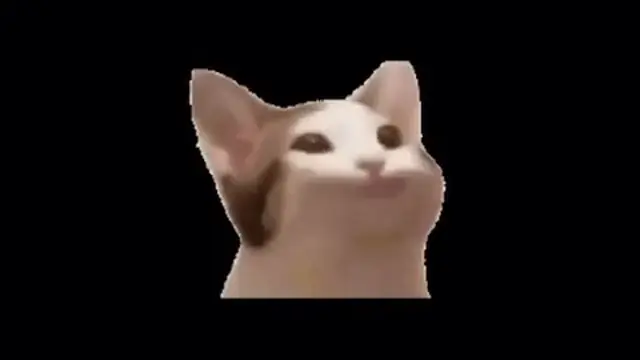 Pop Cat Original