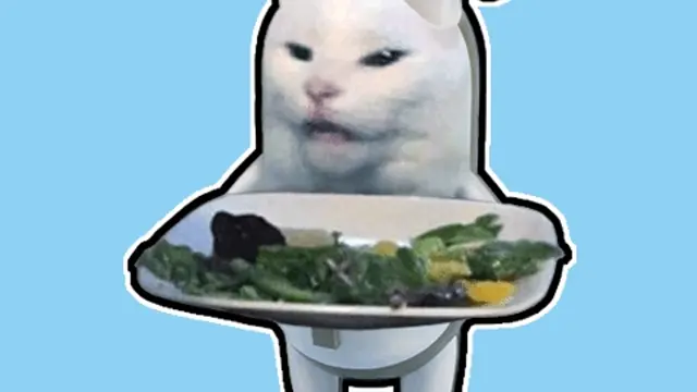 Smudge Confused Dinner Cat